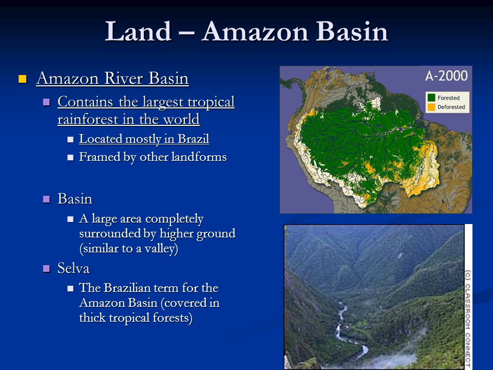 Amazon River Basin Definition Geography