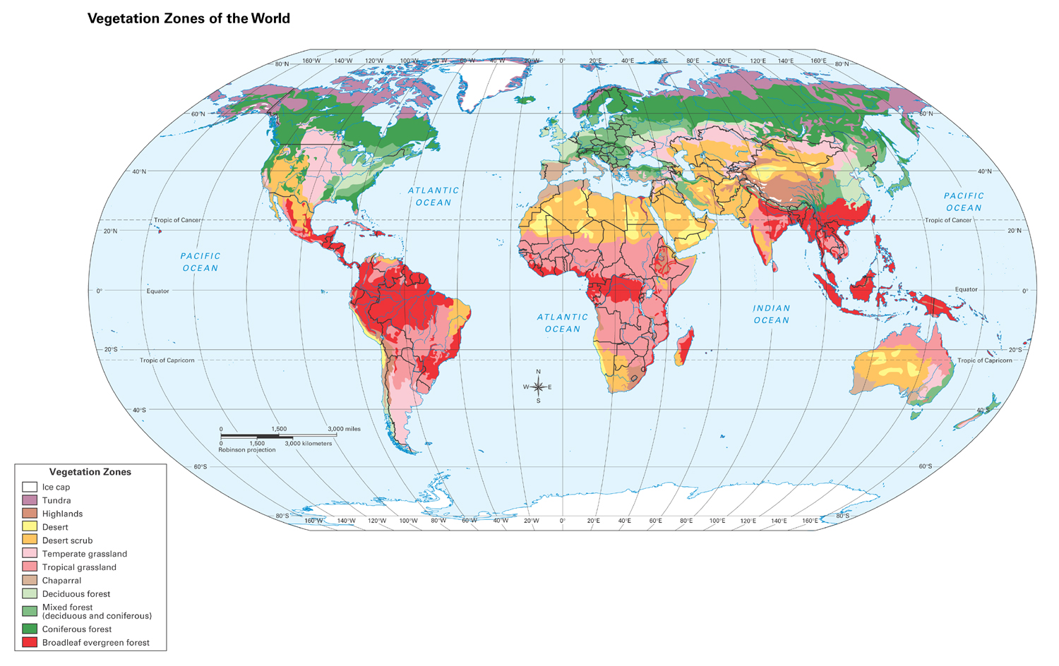 Vegetation Geography