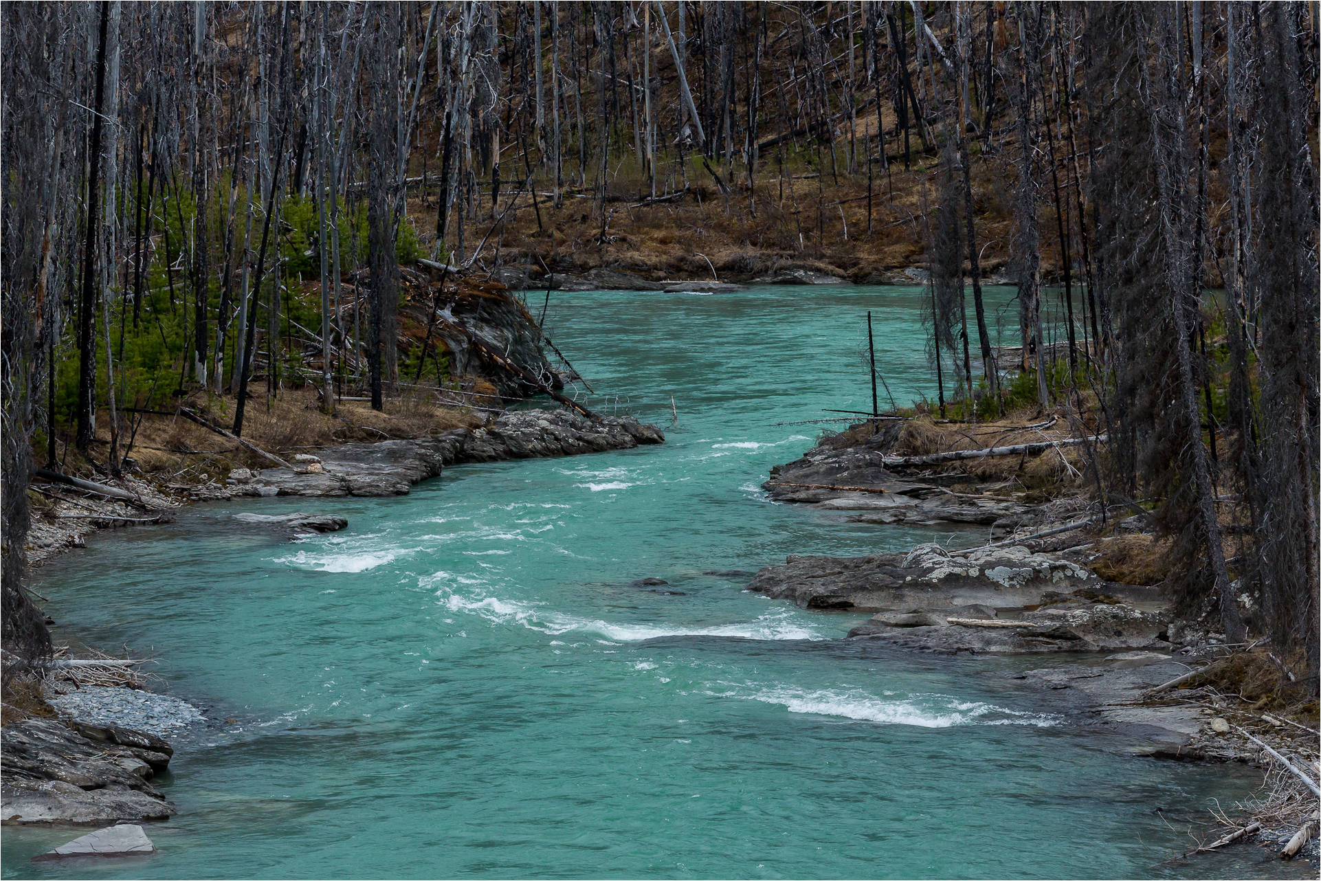 drainage-basins-world-rivers