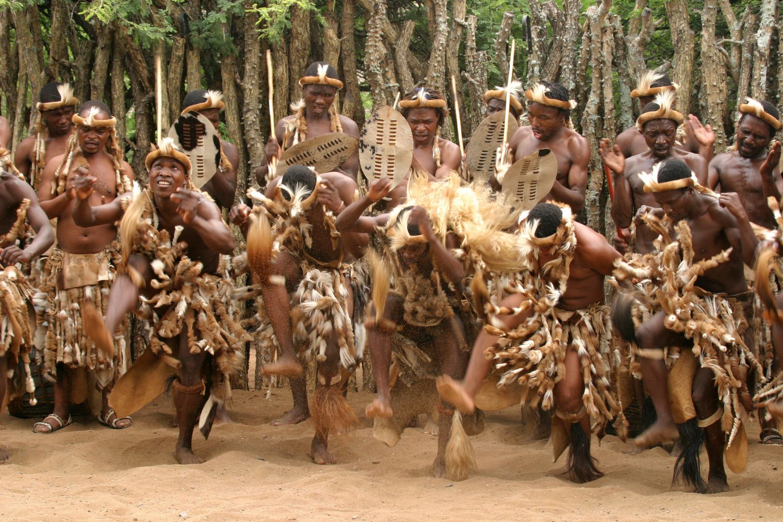 Africa Dance