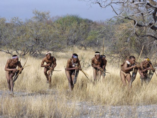 Africa: Hunting and Gathering