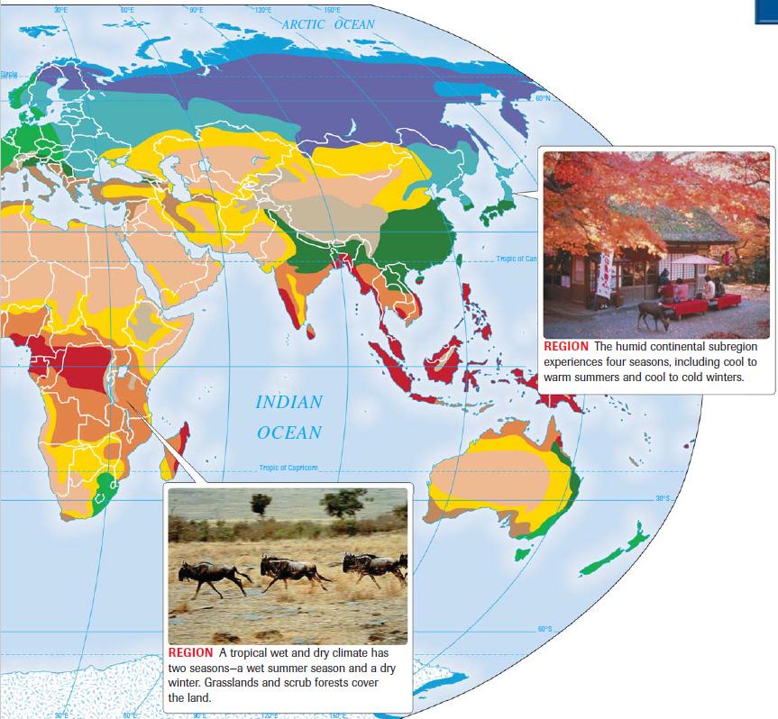 What Are The Different Climatic Regions Of The World