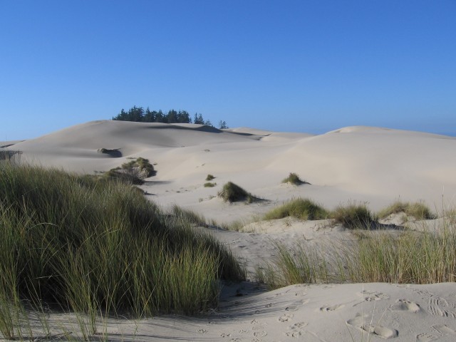 dunes