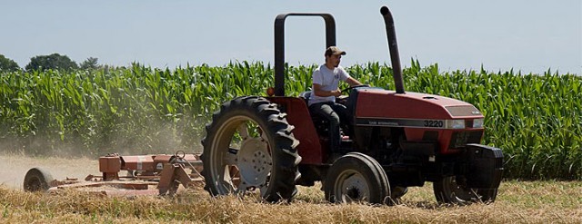 sedentary farming