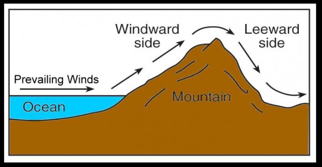 Leeward And Windward