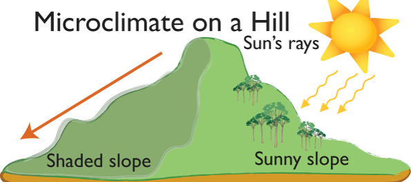 microclimates