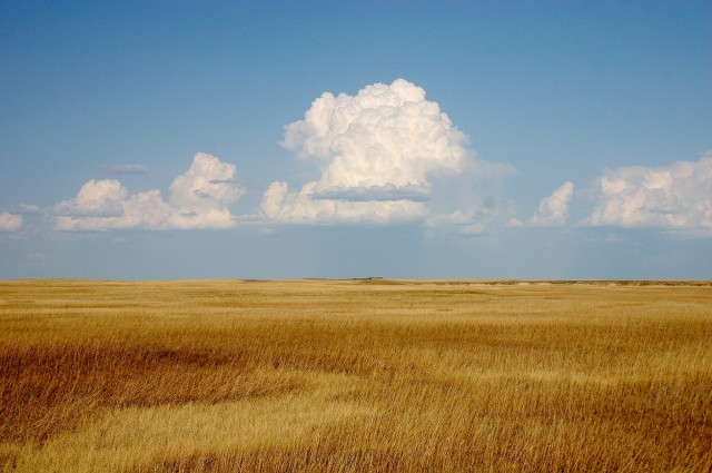 prairie