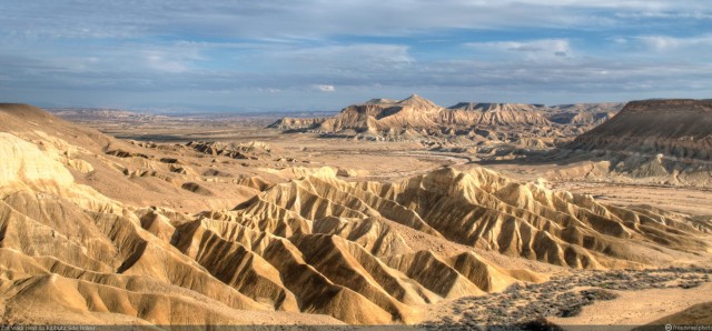 Negev Desert