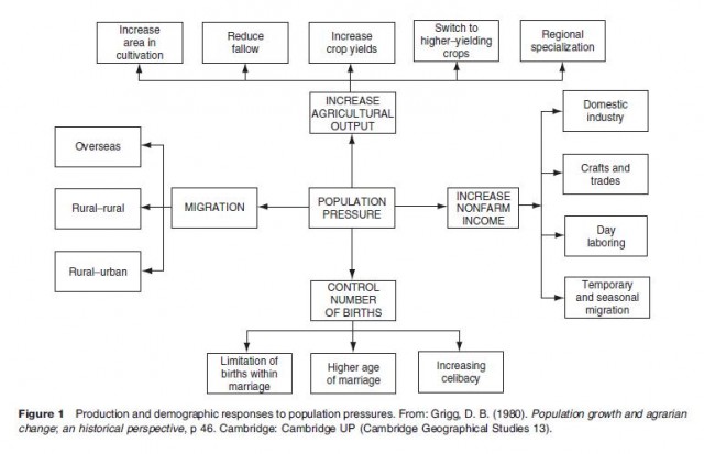 Production and demographic responses to population pressures