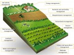 Agriculture, Sustainable