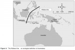 The Wallace line an ecological definition of Australasia.