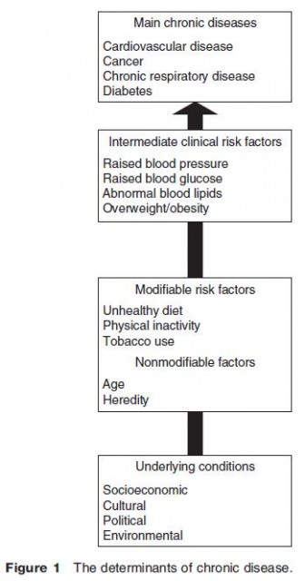 The determinants of chronic disease