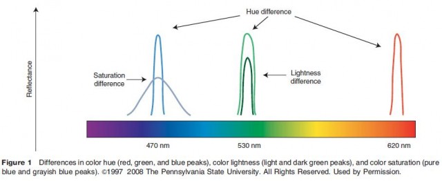 Differences in color hue (red, green, and blue peaks), color lightness (light and dark green peaks), and color saturation (pure blue and grayish blue peaks)