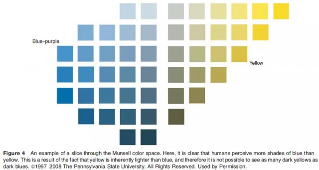 An example of a slice through the Munsell color space. Here, it is clear that humans perceive more shades of blue than yellow. This is a result of the fact that yellow is inherently lighter than blue, and therefore it is not possible to see as many dark yellows as dark blues