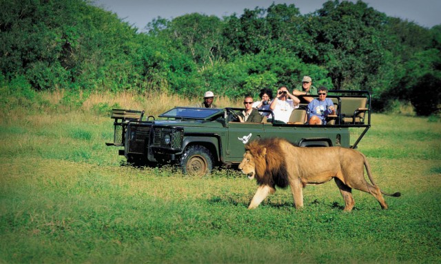 Africa: Tourism