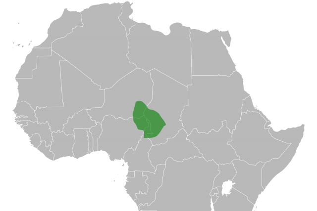 Bornu