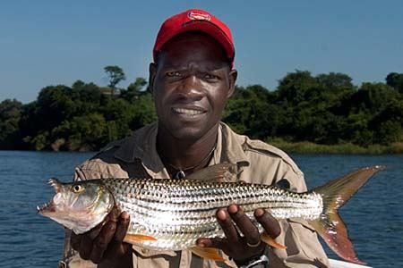 Africa: Fishing