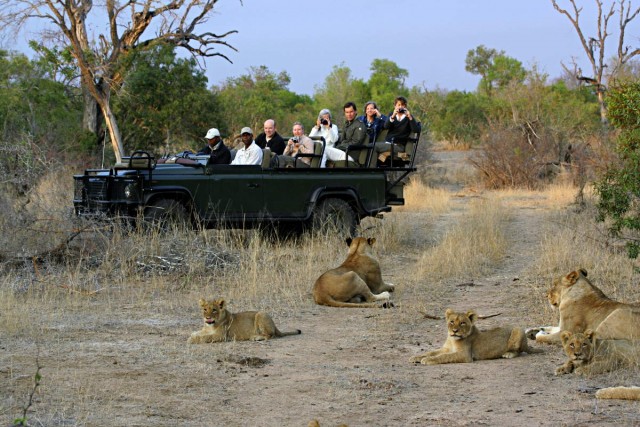 Africa: Wildlife and Game Parks