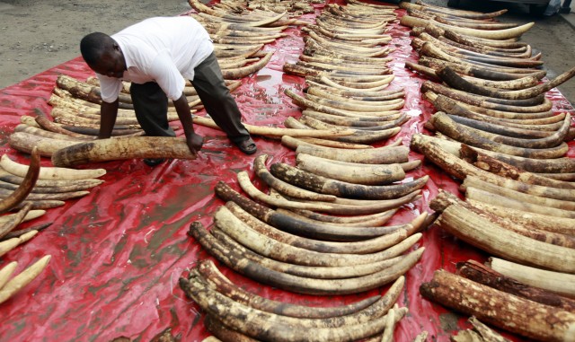 Ivory Trade