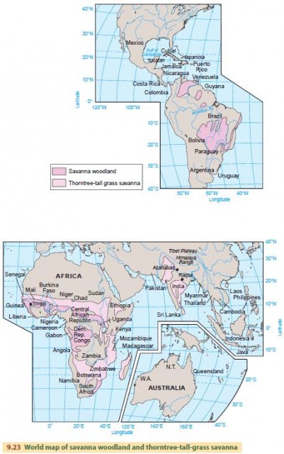 World map of savanna woodland and thorntree-tall-grass savanna