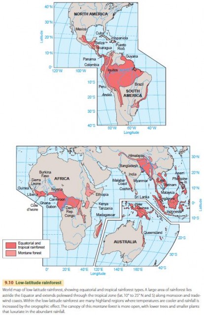 Low-latitude rainforest