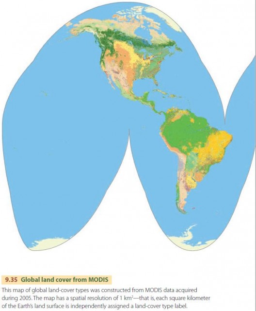 Global land cover from MODIS