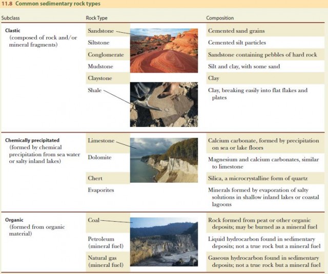 Common sedimentary rock types