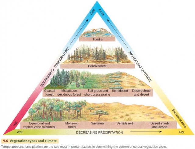 Terrestrial Biomes Chart