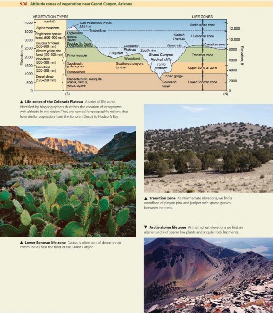Altitude zones of vegetation near Grand Canyon, Arizona