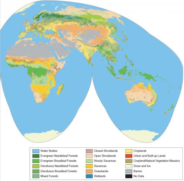 Global land cover from MODIS