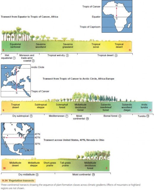 Vegetation transects