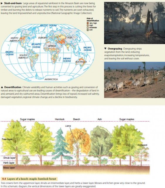 Types Of Natural Vegetation In World With Pictures Flash Sales ...