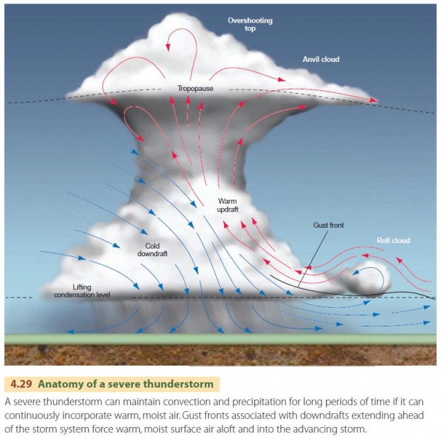 Anatomy of a severe thunderstorm