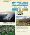 Human impact on the carbon cycle