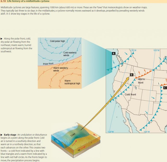 Life history of a midlatitude cyclone