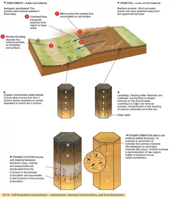 Soil formation mechanisms—enrichment, removal, translocation, and transformation