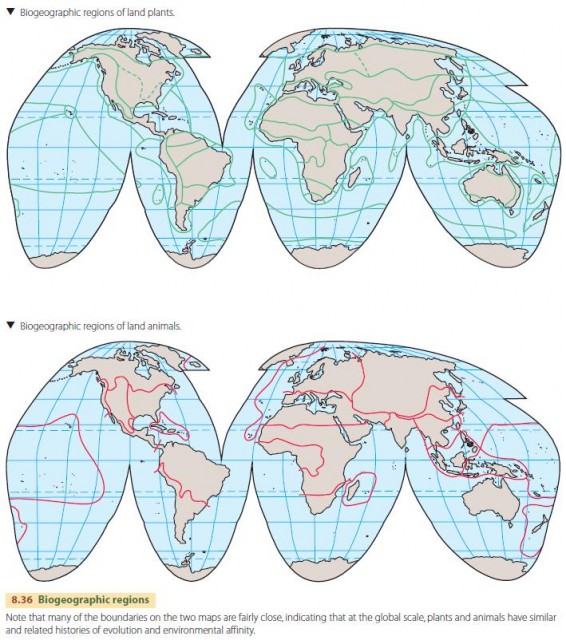 Biogeographic regions