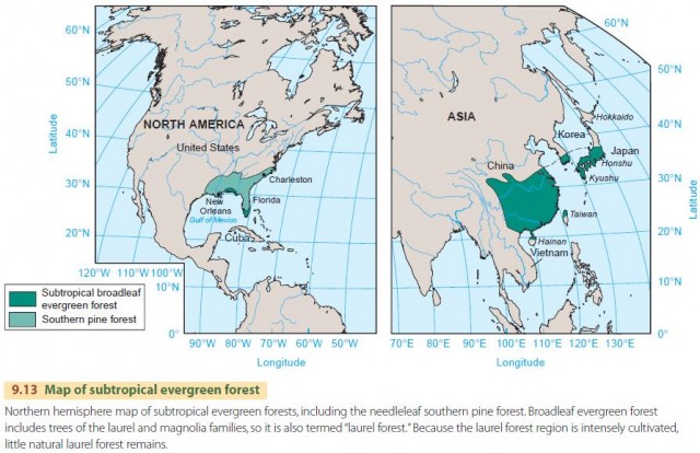 Map of subtropical evergreen forest