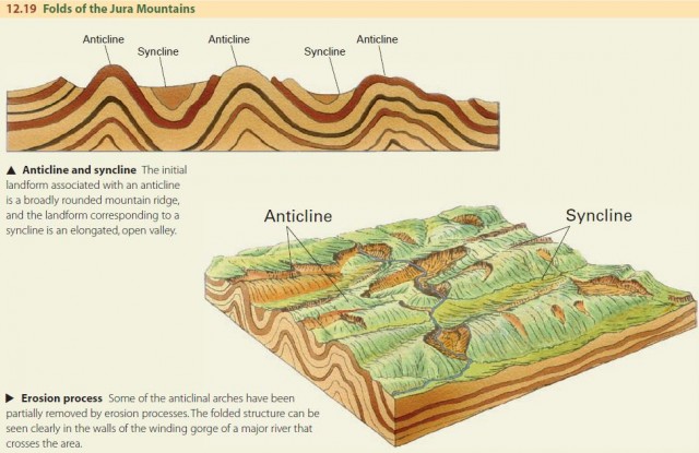 Folds of the Jura Mountains