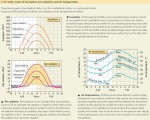 Daily cycles of insolation, net radiation, and air temperature