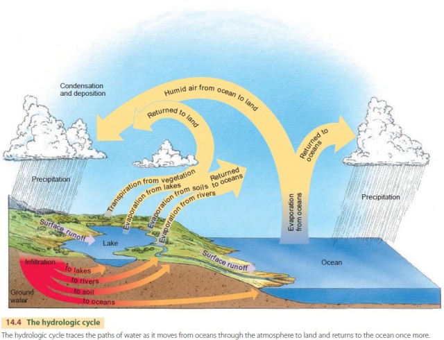 The hydrologic cycle