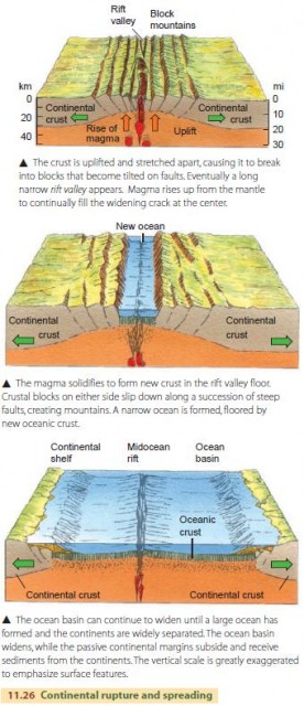 Continental rupture and spreading
