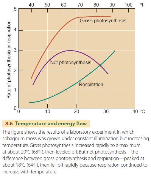 Temperature and energy flow