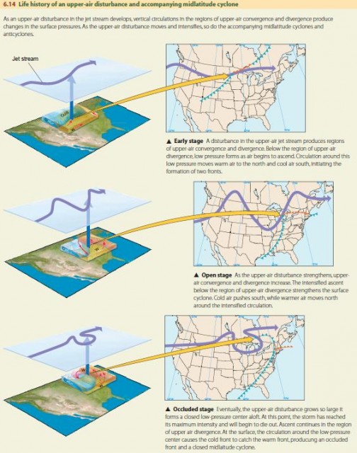 Life history of an upper-air disturbance and accompanying midlatitude cyclone