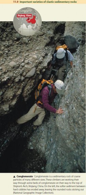 Important varieties of clastic sedimentary rocks