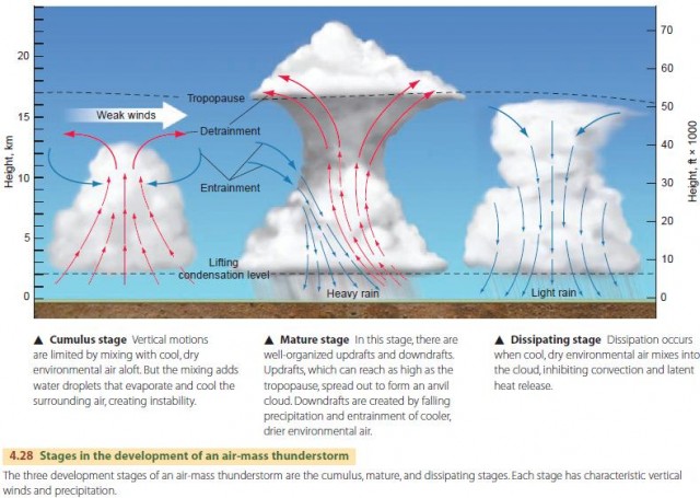 Stages in the development of an air-mass thunderstorm