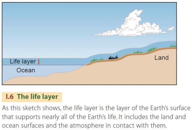 The life layer