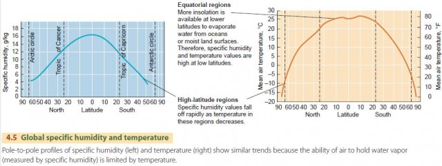 Global specific humidity and temperature