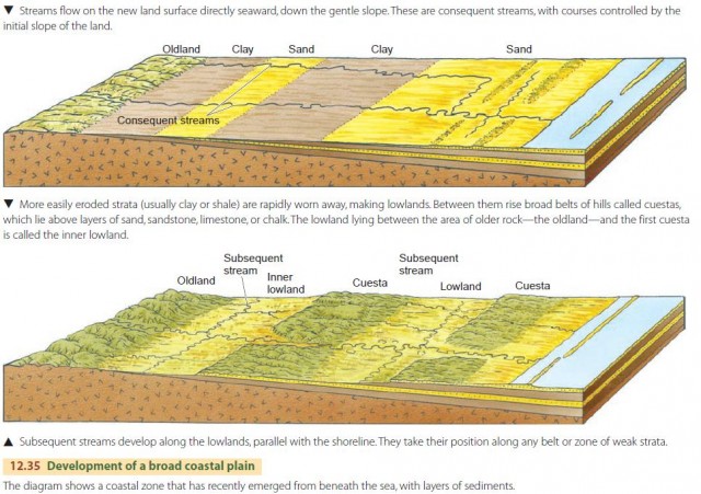 Development of a broad coastal plain