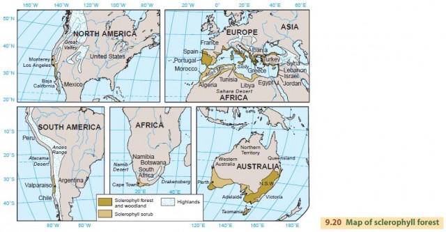 Map of sclerophyll forest